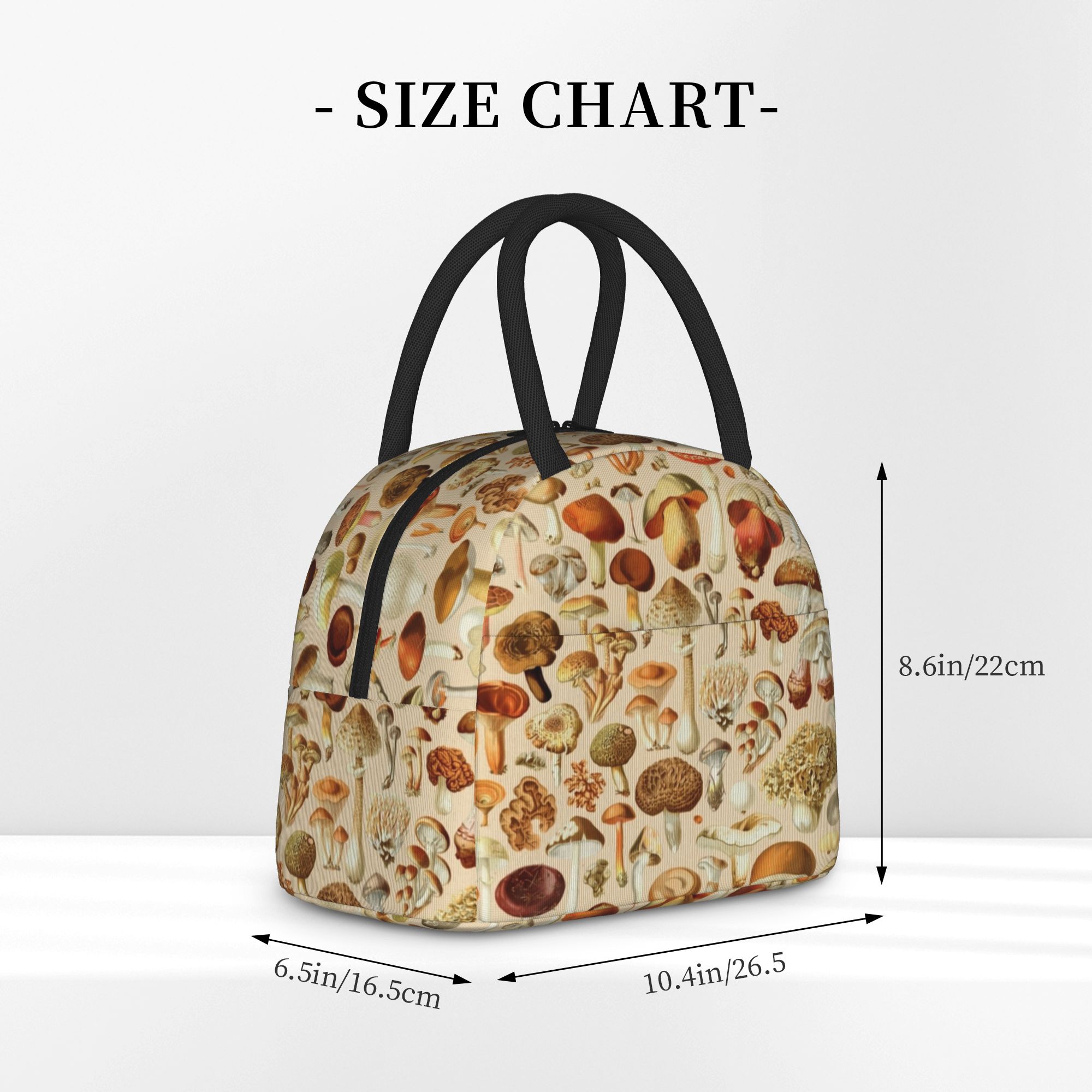 กระเป๋าเก็บอาหารกลางวันแบบมีฉน - Vintage Collectible Lunch Boxes บทวิจารณ์และราคา