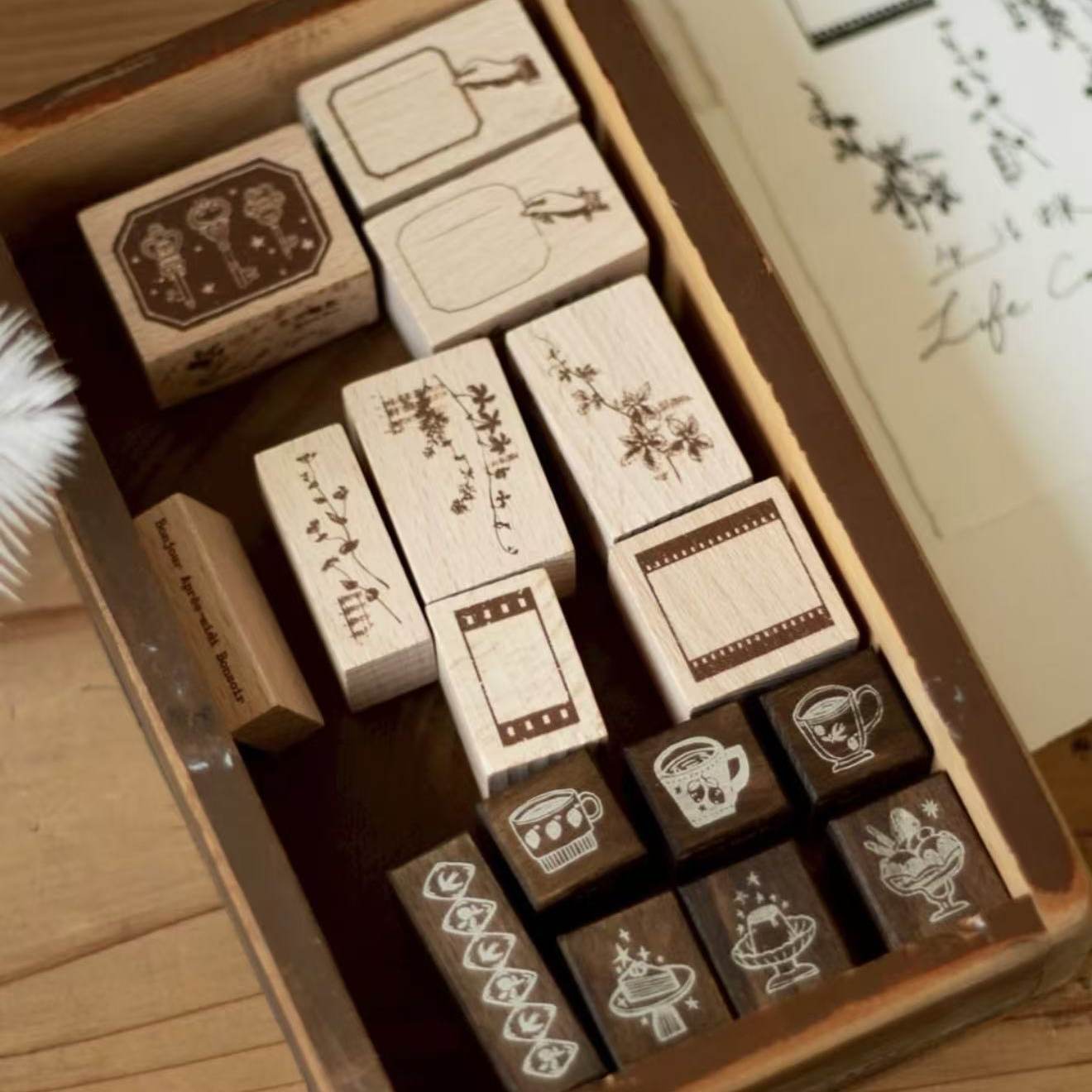 โลอิไดไซน์ วินเทจ วิทช์'ส ไลท์ - Vintage Collectible Cards บทวิจารณ์และราคา